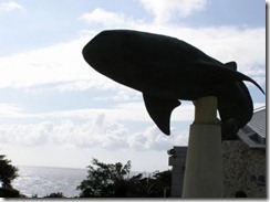 051011 沖縄旅行 10 美ら海水族館02 ｸｼﾞﾗﾓﾆｭﾒﾝﾄ (小)